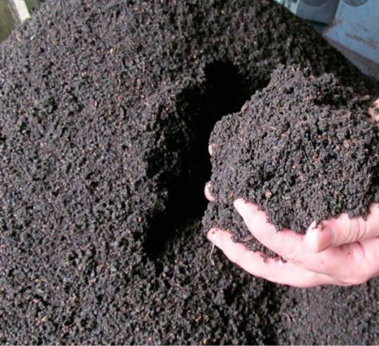 Biogumus va Kaliforniya qizil chuvalchanglari