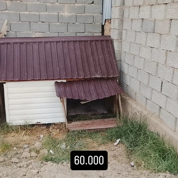 Гарантия жоқ новый