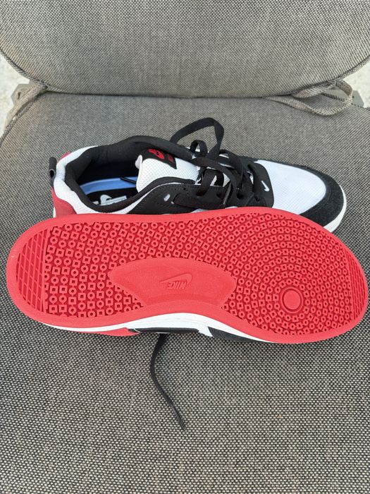 Nike sb Alleyoop
