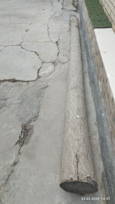 Продаётся дерево