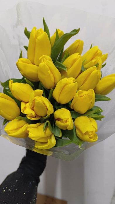 Тюльпаны оптом с доставкой