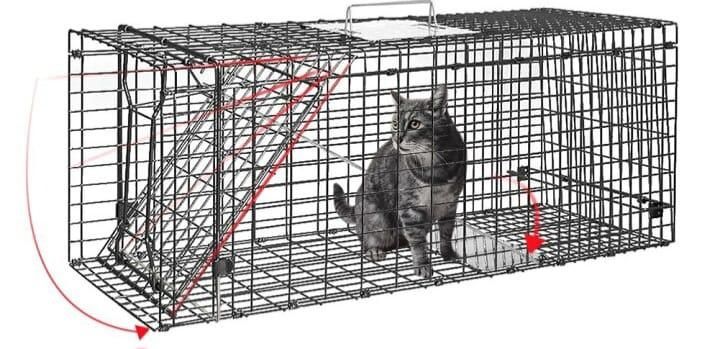 Капкан клетка от животных