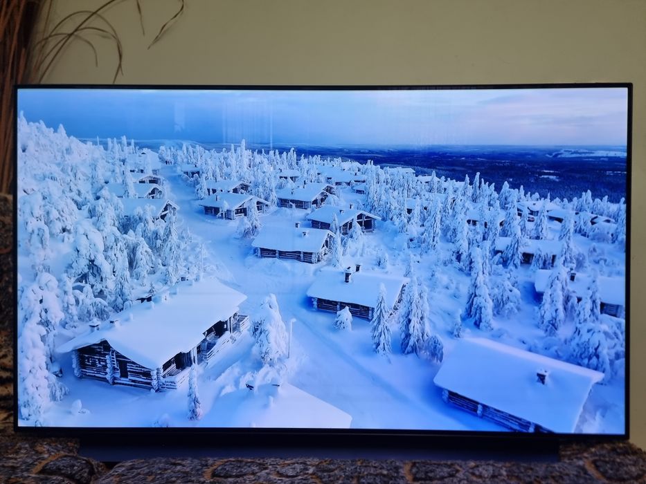 LG OLED Smart TV / 55" - 4K , HDR10+ , WebOS , Dolby Atmos