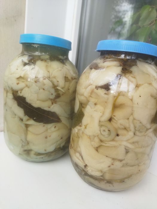 продам валуи вкусные