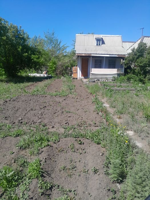 Дача, сад Мелиоратор