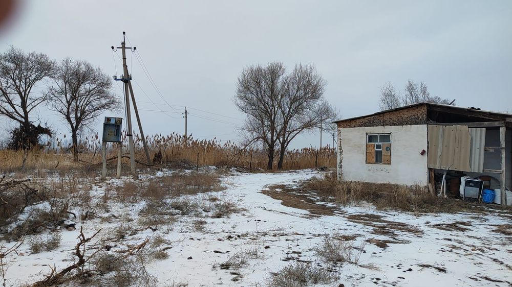 Яблоневый сад, кх