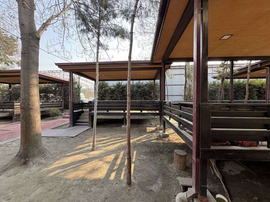 Тапчан Сурилар  сотилади