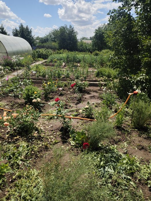 продается дача общества натуралист