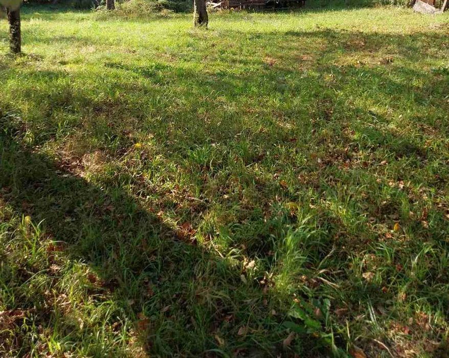 Продава се Парцел в с. Рибарица, Област Ловеч - 1765 кв.м за 26 €/кв.м - Снимка #2