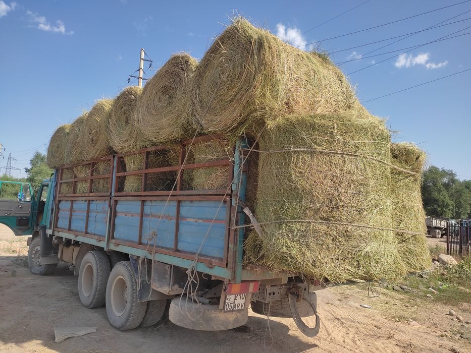 Сено в рулонах жоңышқа