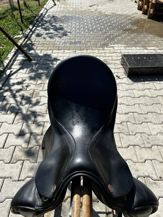 Sa dresaj Prestige Appaloosa
