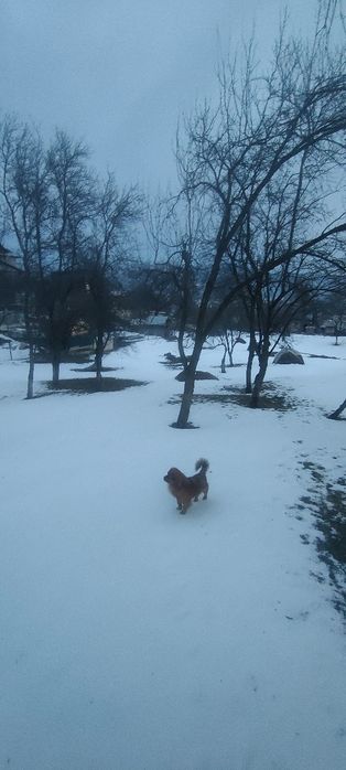 Vând teren intravilan