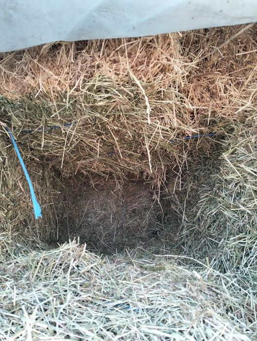 Vând baloți cu lucernă