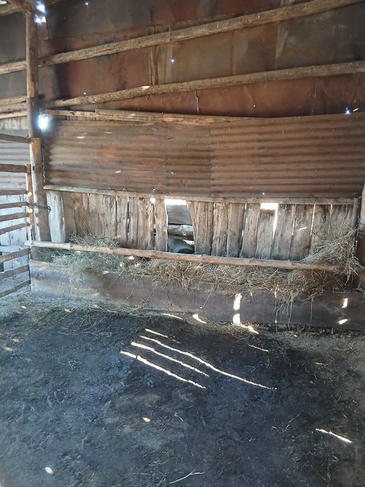 Продам дом в деревне