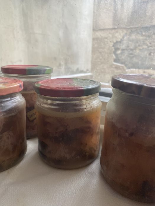 Тушенка из перепелов халяль