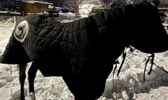 Седло  для лошади