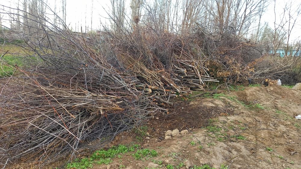 Otin sotiladi,orzon narxda