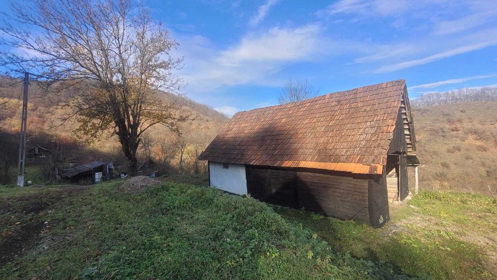 Vanzare teren in Judetul Hunedoara (cu casa)