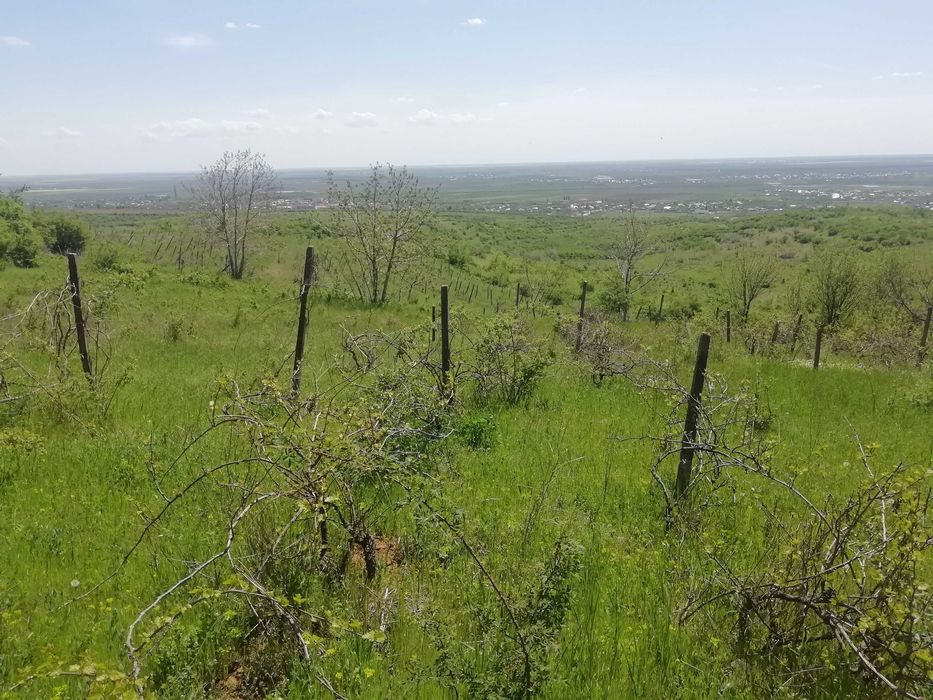 Teren Intravilan 1333m + Extravilan Total 7590m Valea Calugareasca