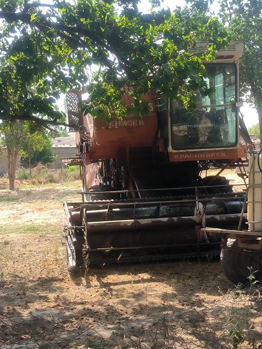 Enesi kanbayin sotiladi