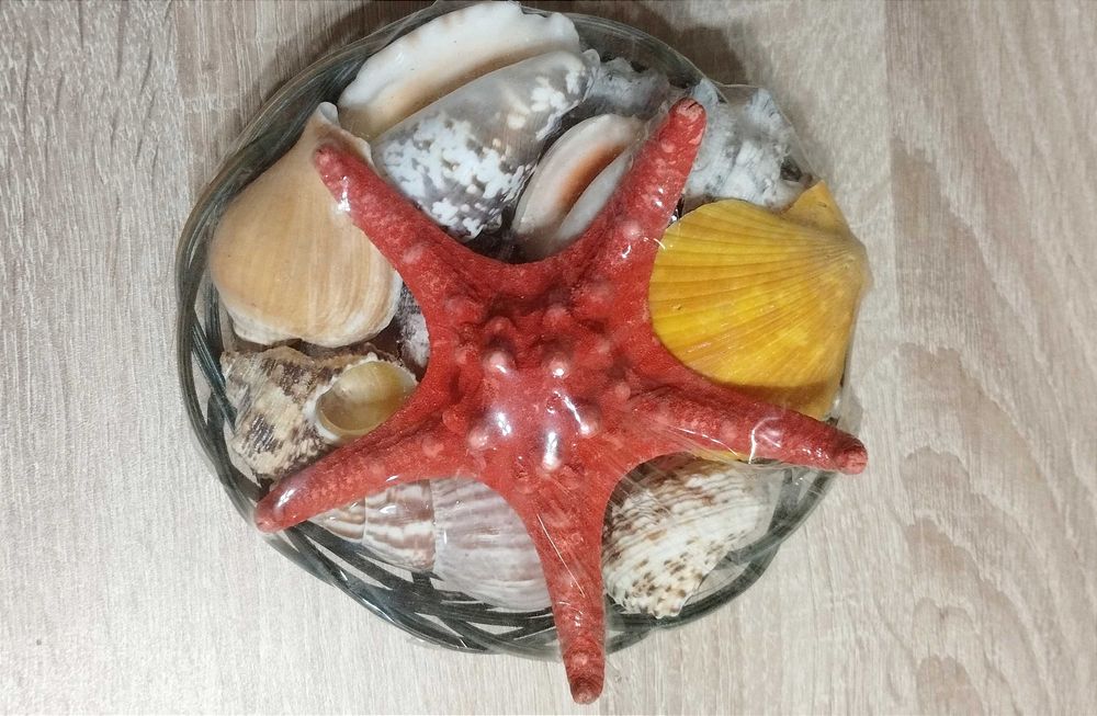 Нова кошничка с Морска звезда и естествени раковини