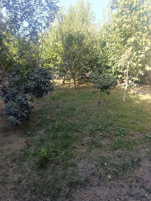 Йр сотилади хишравда