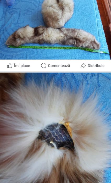 Guler si/sau caciulă