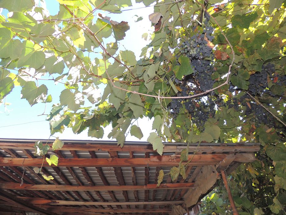 Teren 491 m²,deschidere stradal 15 ml,cu casă 3 camere,garaj și beci