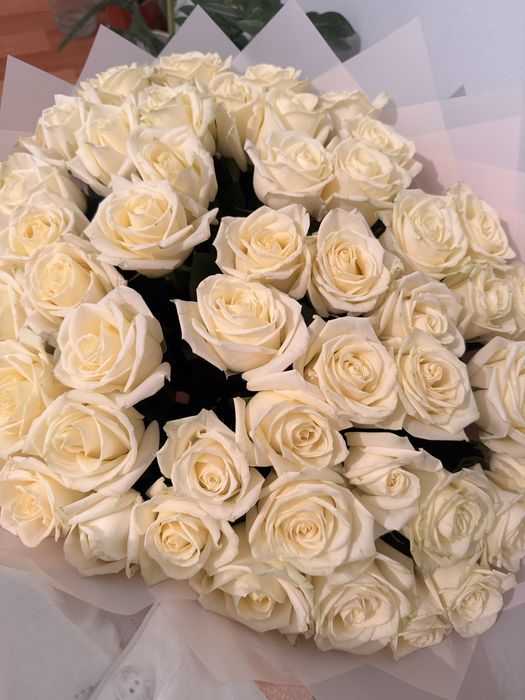 Балғын 51 розалық гүлмен Әдемі үрленген шарик