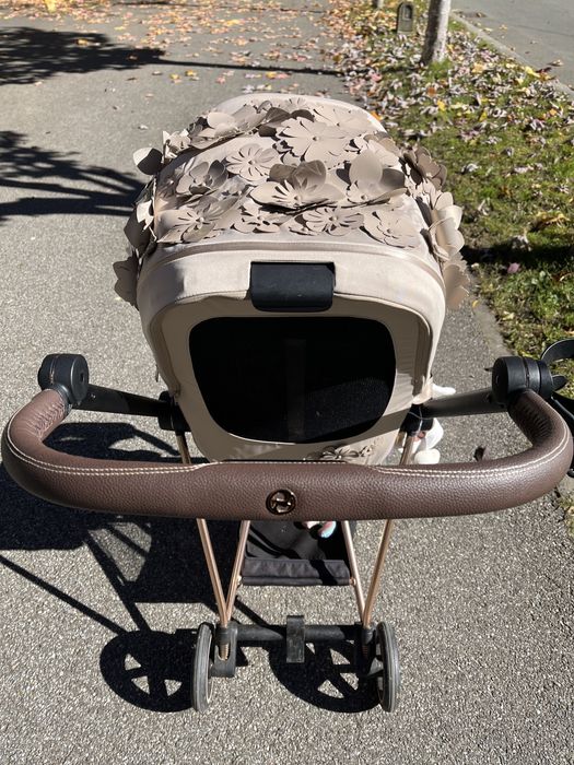 Cybex Mios Simply Flowers
