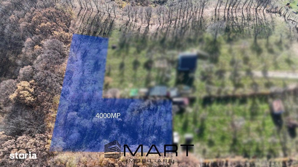 Teren de 4000 mp in Padurea Tufari, Sadu