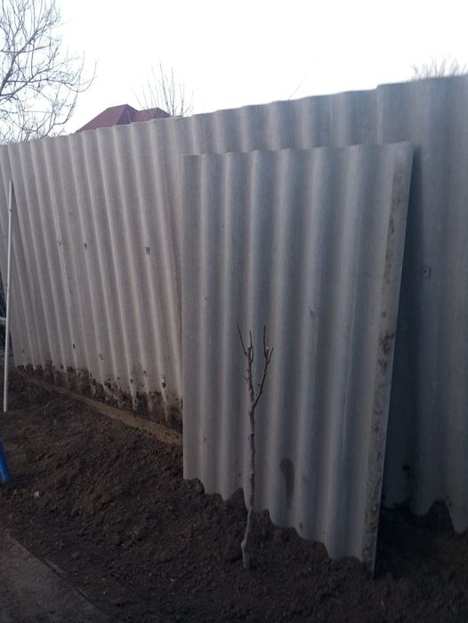 Шипр сатылады 700 ден штугы