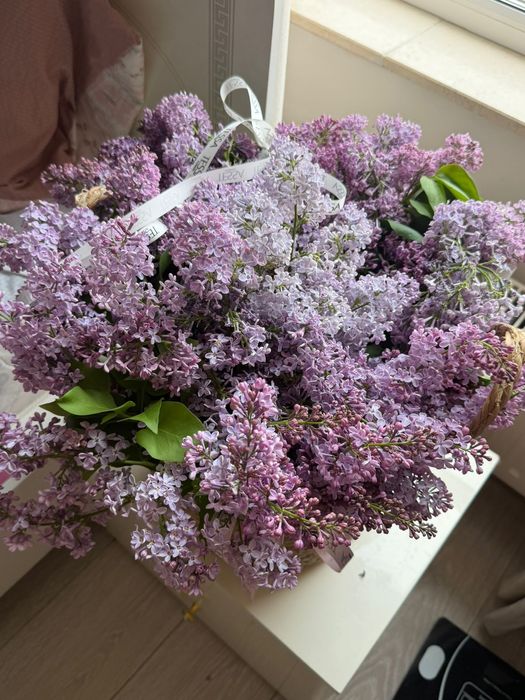 Букет цветы Гүл Сирень