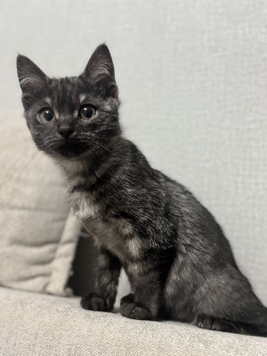 В любящие руки девочка