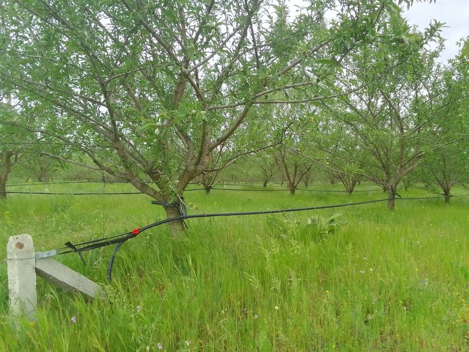 Продава се Земеделски имот в с. Просеник, Област Бургас -  кв.м за 1822 €/дка - Снимка #2