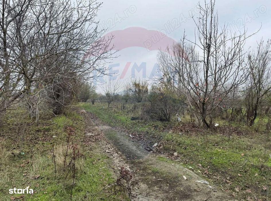 De vanzare teren intravilan 1862 mp in Bolintin-Vale