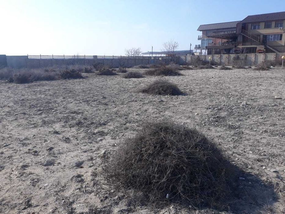 Сено Трава скошеная Бесплатно гост,РАХАТ 1 мкр  ⁸ 775 ⁵¹⁸ ⁰⁷ ²⁰