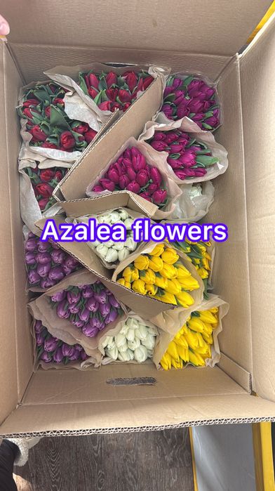 Тюльпаны оптом и в розницу в любом обьеме