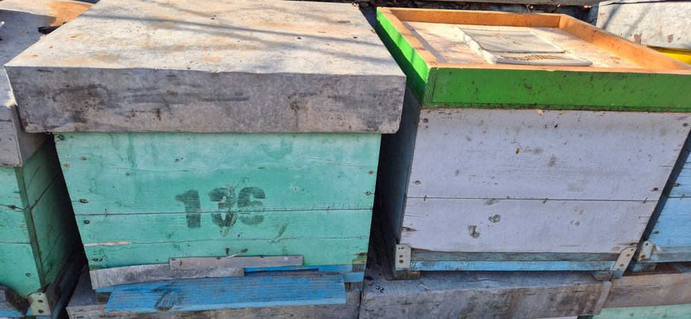 Lazi stupi 12 rame cu grosime 2,5cm