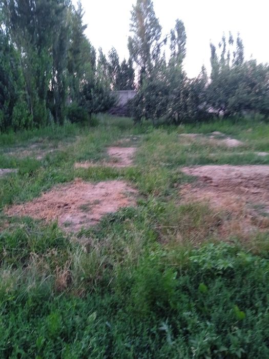 Срочна участка сотилади Янгибозорда