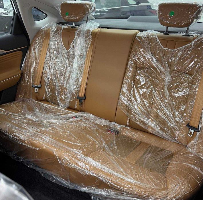 Gac aion S max 610 km 7.000$