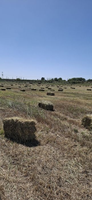 Тоза ут майда камиш прес аралаш 35000 сум