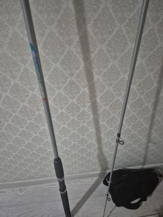 Рыболовное удилище