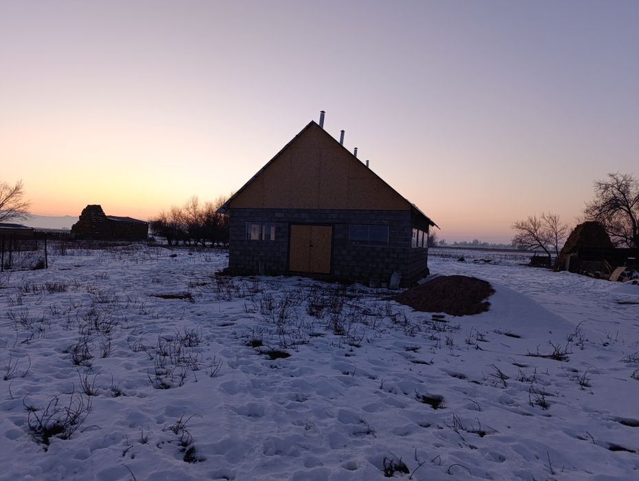 Сауын сиыр немесе бордақылау арналған қора