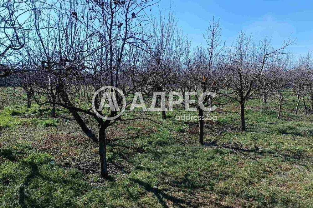 Масивна къща в с. Ловско, обл. Разград!