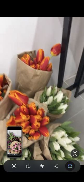 Оптом Тюльпаны большие бокалы 55см