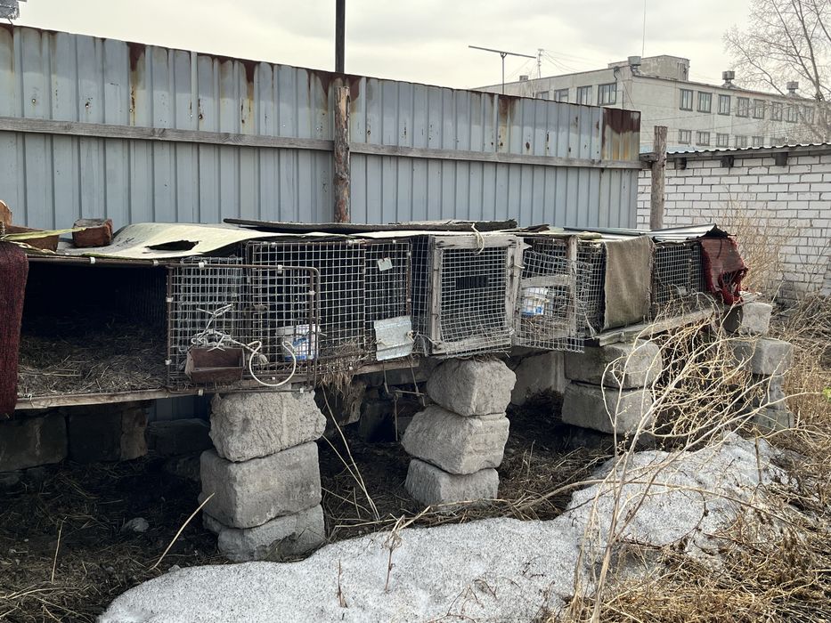 Продам клетки для кроликов!