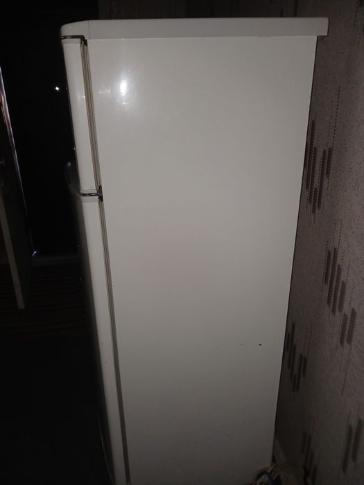 Haladelnik bor sotiladi