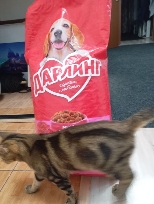 Дарлинг корм для собак