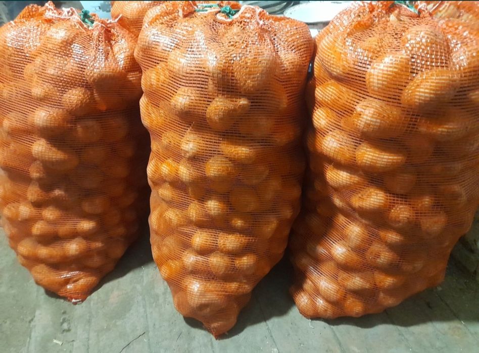 Картошка домашняя